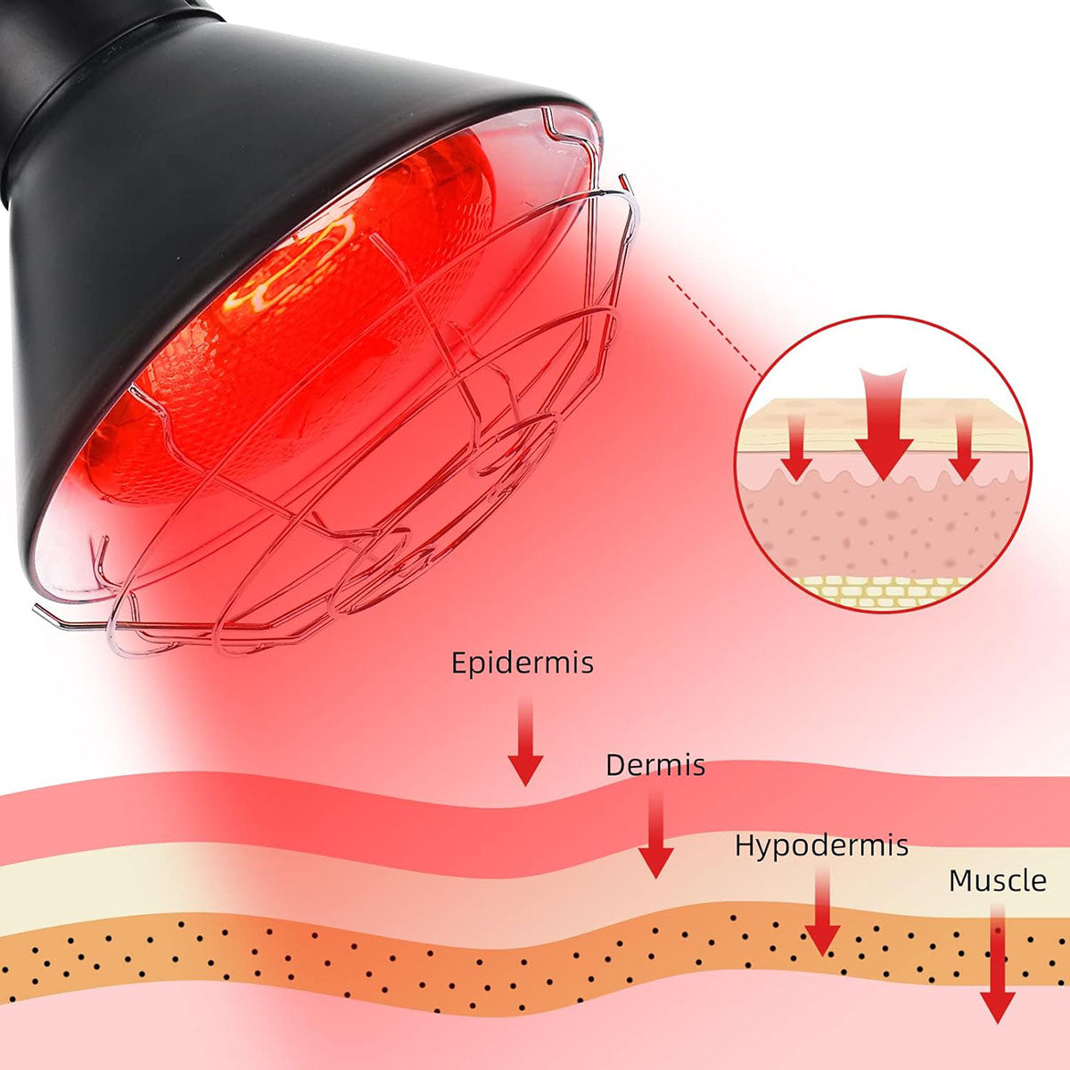 Infrared Light Therapy Lamp