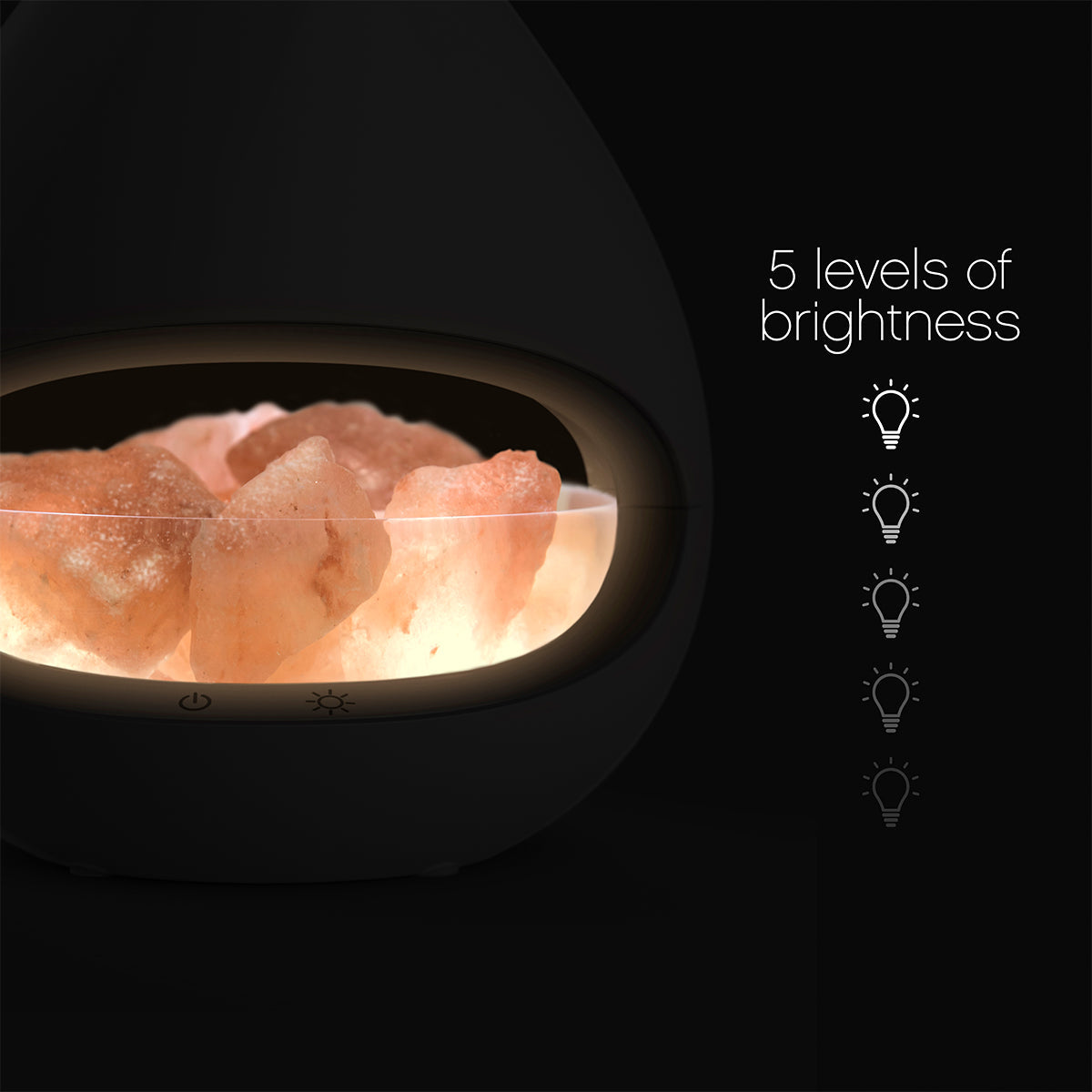 Himalayan Salt Lamp and Diffuser