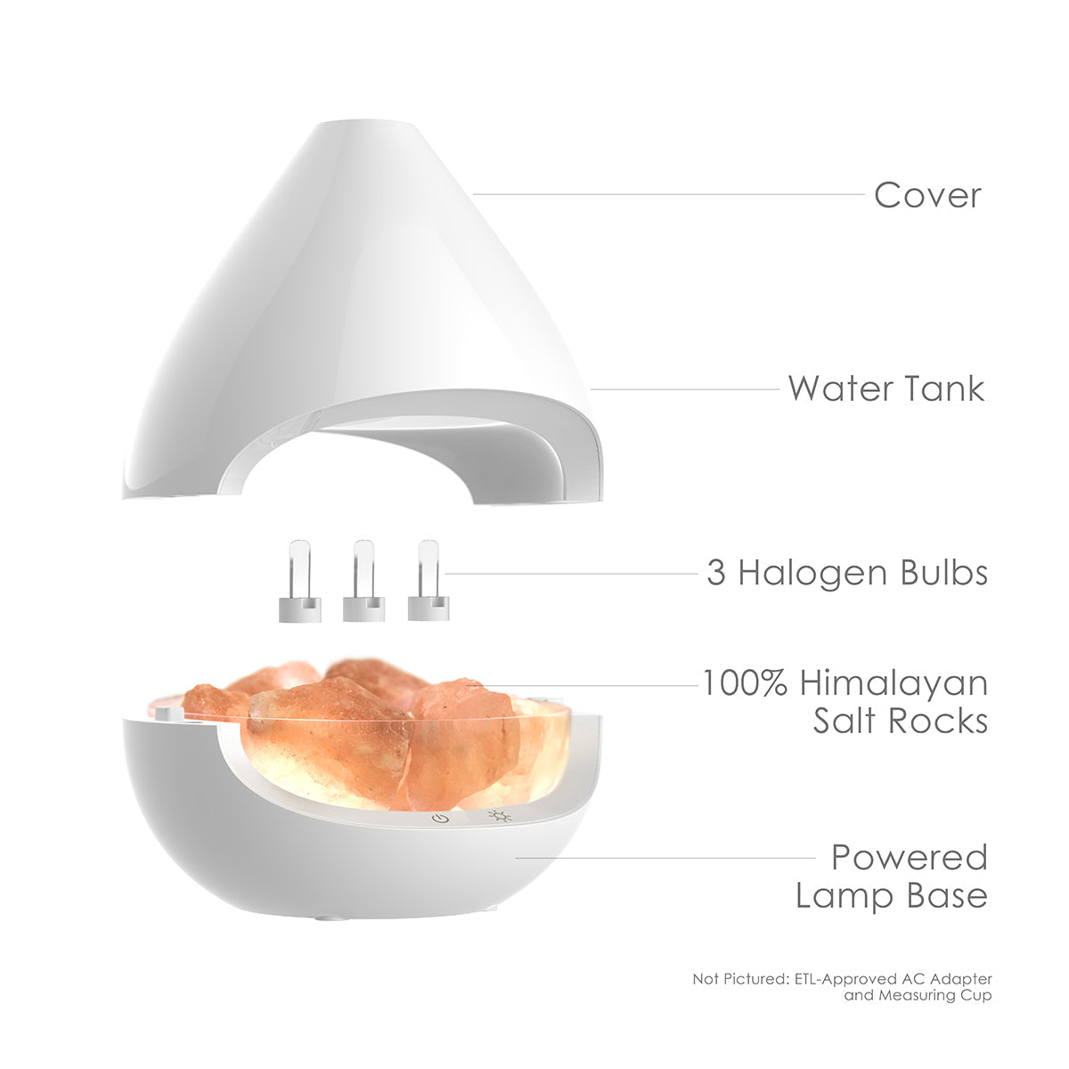 Himalayan Salt Lamp and Diffuser