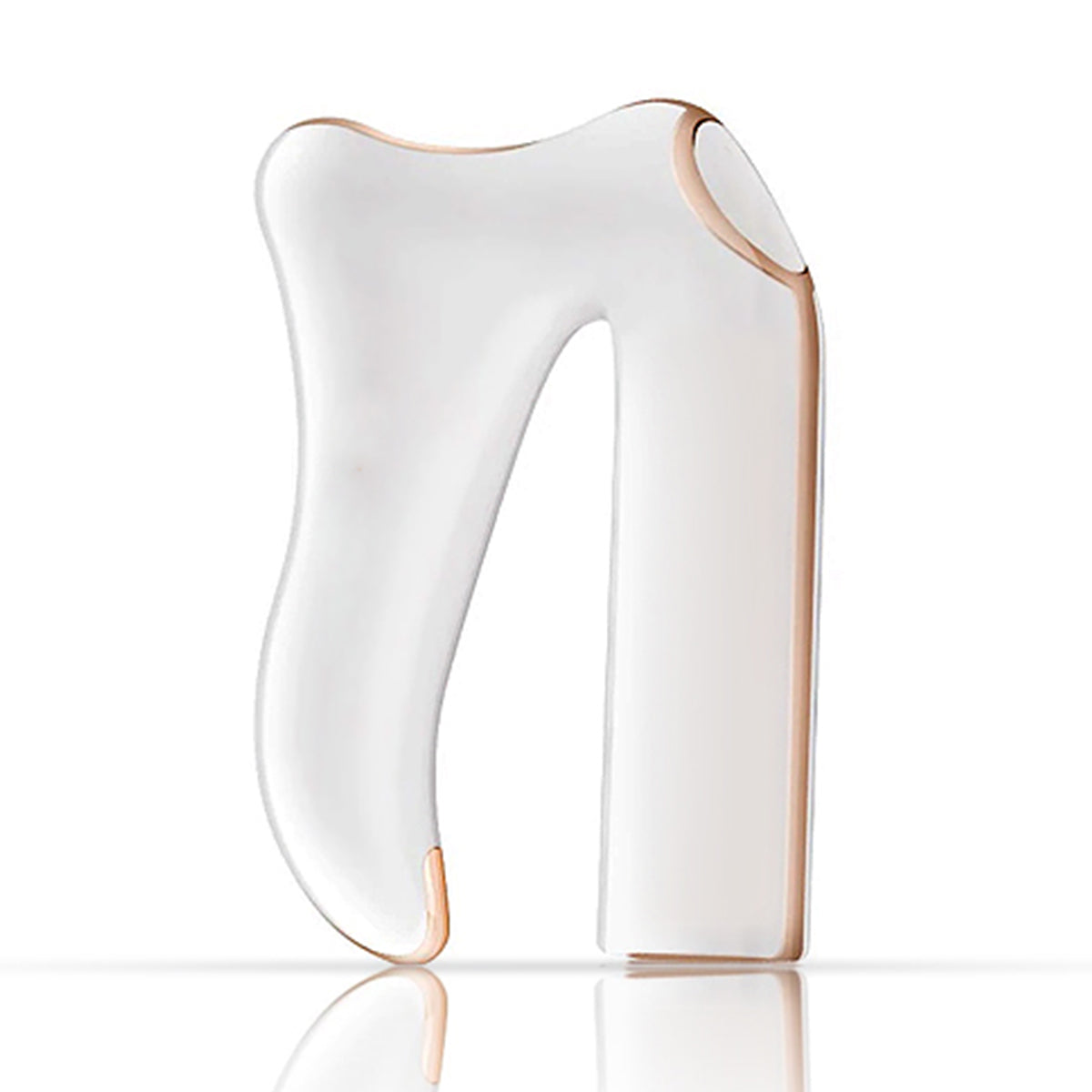 2-in-1 Body Contouring Massager