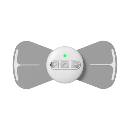 Electronic Pulse TENS EMS Massager