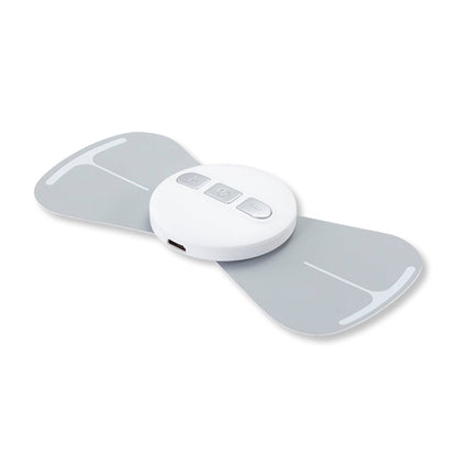 Electronic Pulse TENS EMS Massager