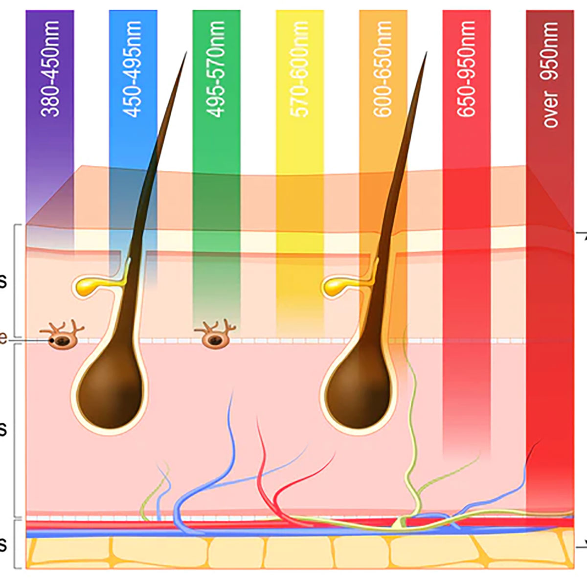Ultimate LED Light Therapy Device